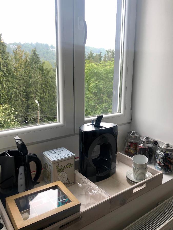 Le Studio De La Villa Madeleine スパ エクステリア 写真